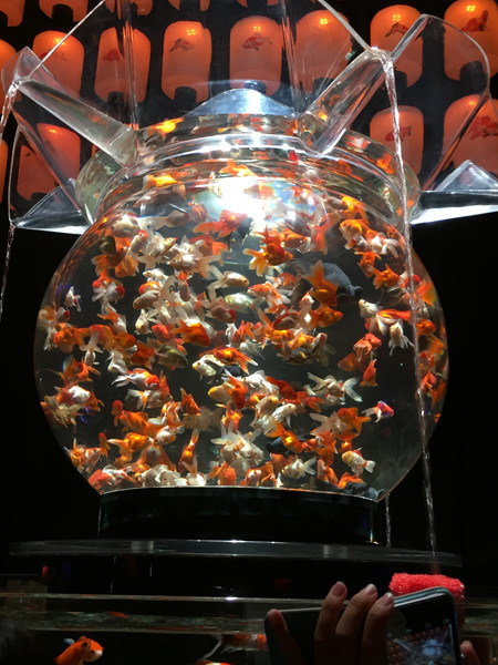 【写真あり】アートアクアリウム展大阪の金魚が幻想的で素敵　デートにも家族のお出かけにも最適